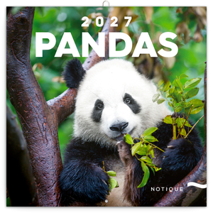 Fotografie reklamního předmětu „NOTIQUE Grid calendar Pandas 2027, 30 x 30 cm“
