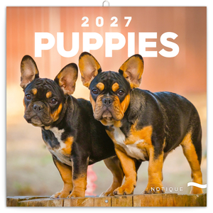 Fotografie reklamního předmětu „NOTIQUE Grid calendar Puppies 2027, 30 x 30 cm“