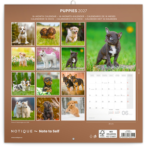 Fotografie k reklamnímu předmětu „NOTIQUE Grid calendar Puppies 2027, 30 x 30 cm“