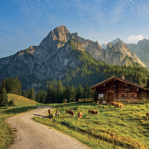 Fotografie k reklamnímu předmětu „NOTIQUE Grid calendar Alps 2027, 30 x 30 cm“