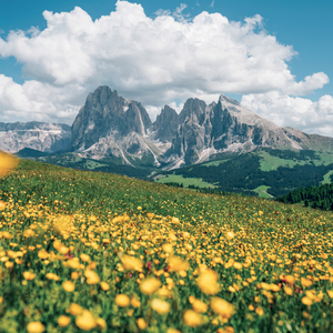 Fotografie k reklamnímu předmětu „NOTIQUE Grid calendar Alps 2027, 30 x 30 cm“