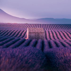 Fotografie k reklamnímu předmětu „NOTIQUE Grid calendar Provence 2027, 30 x 30 cm“
