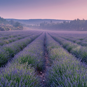 Fotografie k reklamnímu předmětu „NOTIQUE Grid calendar Provence 2027, 30 x 30 cm“