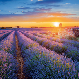 Fotografie k reklamnímu předmětu „NOTIQUE Grid calendar Provence 2027, 30 x 30 cm“