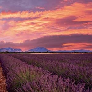 Fotografie k reklamnímu předmětu „NOTIQUE Grid calendar Provence 2027, 30 x 30 cm“
