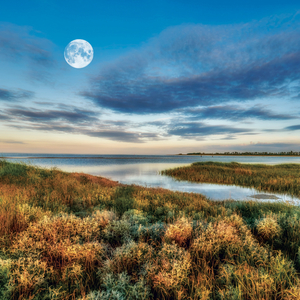 Fotografie k reklamnímu předmětu „NOTIQUE Grid calendar The Moon 2027, 30 x 30 cm“