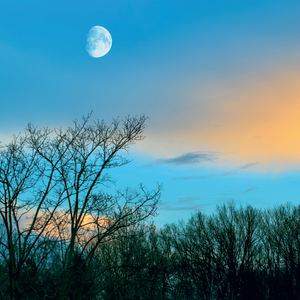 Fotografie k reklamnímu předmětu „NOTIQUE Grid calendar The Moon 2027, 30 x 30 cm“