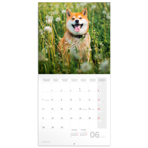 Fotografie k reklamnímu předmětu „NOTIQUE Poznámkový kalendář Happy Doge 2027, 30 x 30 cm“