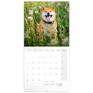 Fotografie k reklamnímu předmětu „NOTIQUE Grid calendar Happy Doge 2027, 30 x 30 cm“