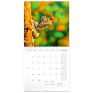 Fotografie k reklamnímu předmětu „NOTIQUE Poznámkový kalendář Ještěři 2027, 30 x 30 cm“