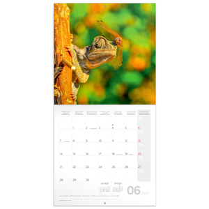 Fotografie k reklamnímu předmětu „NOTIQUE Grid calendar Lizards 2027, 30 x 30 cm“