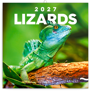 Fotografie reklamního předmětu „NOTIQUE Grid calendar Lizards 2027, 30 x 30 cm“
