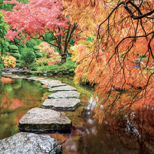 Fotografie k reklamnímu předmětu „NOTIQUE Grid calendar Gardens 2027, 30 x 30 cm“