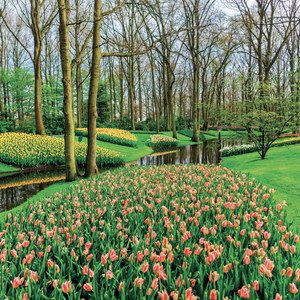 Fotografie k reklamnímu předmětu „NOTIQUE Grid calendar Gardens 2027, 30 x 30 cm“