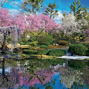 Fotografie k reklamnímu předmětu „NOTIQUE Grid calendar Gardens 2027, 30 x 30 cm“