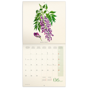 Fotografie k reklamnímu předmětu „NOTIQUE Poznámkový kalendář Herbář 2027, PLASTIC FREE, 30 x 30 cm“