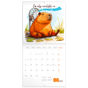 Fotografie k reklamnímu předmětu „NOTIQUE Grid calendar Cheeky Capybaras 2027, 30 x 30 cm“