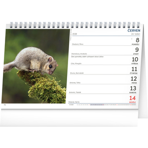 Fotografie k reklamnímu předmětu „NOTIQUE Stolní Myslivecký kalendář 2026, 23,1 x 14,5 cm“