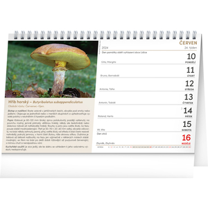 Fotografie k reklamnímu předmětu „NOTIQUE Stolní kalendář Houby 2026, 23,1 x 14,5 cm“