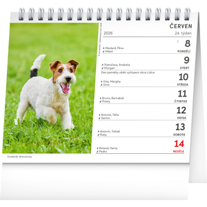 Fotografie k reklamnímu předmětu „NOTIQUE Stolní kalendář Psi – se jmény psů 2026, 16,5 x 13 cm“