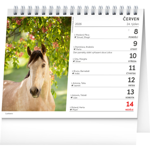 Fotografie k reklamnímu předmětu „NOTIQUE Stolní kalendář Poezie koní 2026, 16,5 x 13 cm“