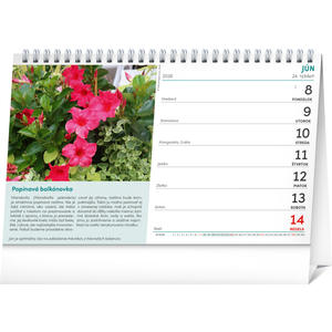 Fotografie k reklamnímu předmětu „NOTIQUE Stolový kalendár Záhradkár 2026, 23,1 x 14,5 cm“