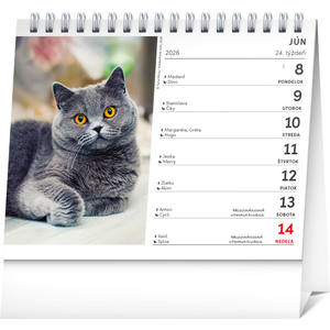 Fotografie k reklamnímu předmětu „NOTIQUE Stolový kalendár Mačky – s menami mačiek 2026, 16,5 x 13 cm“