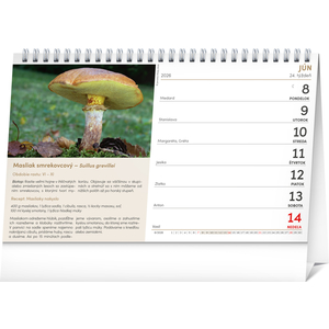 Fotografie k reklamnímu předmětu „NOTIQUE Stolový kalendár Huby 2026, 23,1 x 14,5 cm“