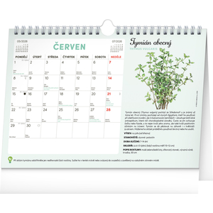 Fotografie k reklamnímu předmětu „NOTIQUE Měsíční plánovací kalendář se semínky 2026, 30 x 21 cm“