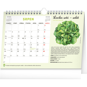 Fotografie k reklamnímu předmětu „NOTIQUE Měsíční plánovací kalendář se semínky 2026, 30 x 21 cm“