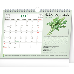 Fotografie k reklamnímu předmětu „NOTIQUE Měsíční plánovací kalendář se semínky 2026, 30 x 21 cm“