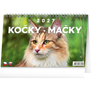 Fotografie reklamního předmětu „NOTIQUE Stolní kalendář Kočky – Mačky CZ/SK 2027, 23,1 x 14,5 cm“