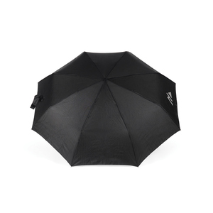 Fotografie k reklamnímu předmětu „Automat. deštník 23