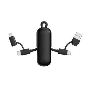 Fotografie k reklamnímu předmětu „Urban Vitamin Dublin 100W 4-v-1 kabel na klíčenku“