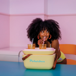 Fotografie k reklamnímu předmětu „Chladicí box Polarbox Original Medium 12L Vintage“