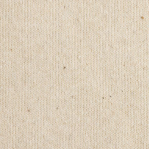 Fotografie k reklamnímu předmětu „Nebarvené tričko Iqoniq Manuel z recykl. bavlny“