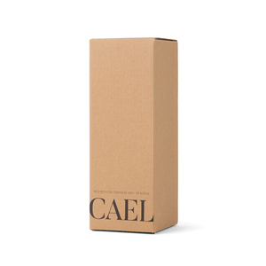 Fotografie k reklamnímu předmětu „Nerezová láhev VINGA Cael 600 ml z RCS“